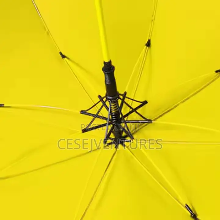 Big Umbrella