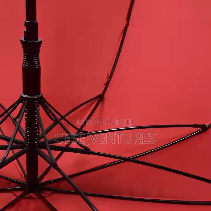 Big Umbrella