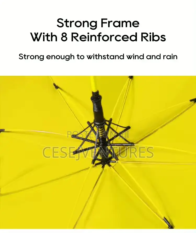 Big Umbrella
