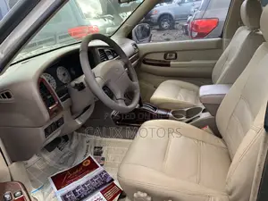 Nissan Pathfinder 2003 Gray