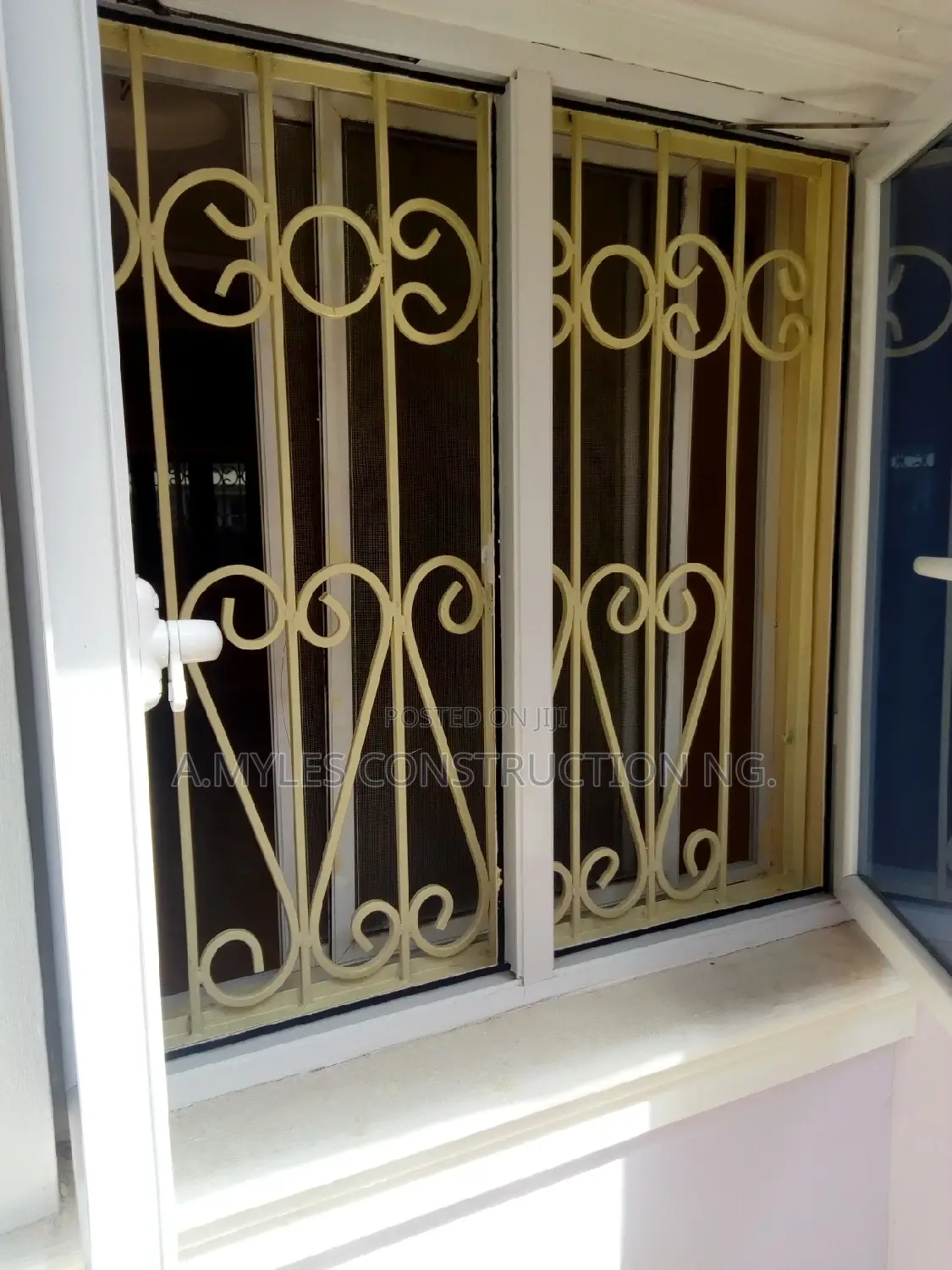 Wrought Iron Window Protector