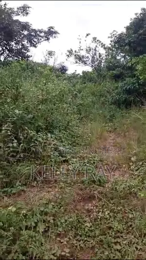 A Plot of Land for Sale at Umuguma