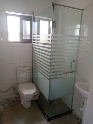 Shower Cubicles With Tampered Designed Glass