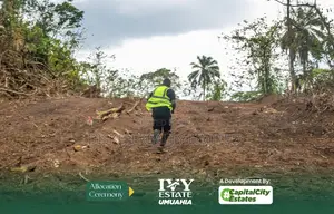 Affordable Plots of Land in Owerri