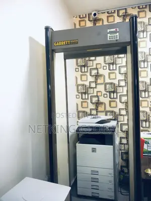Photo - Walkthrough Metal Detector