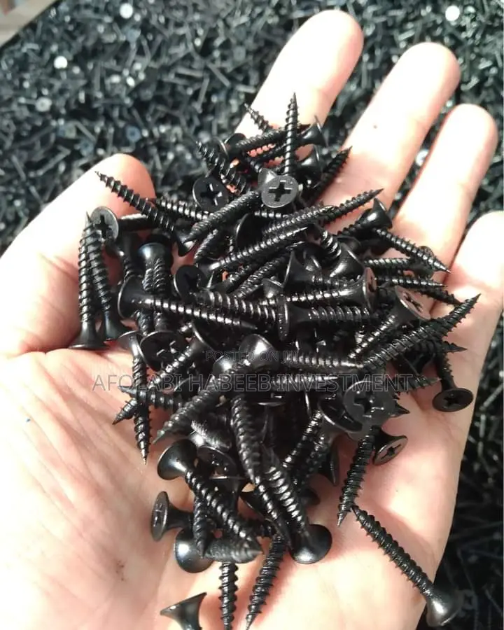 Dry Wall Black Screw