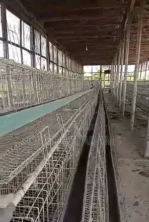 Photo - Farm on 57acres of Land for Sale