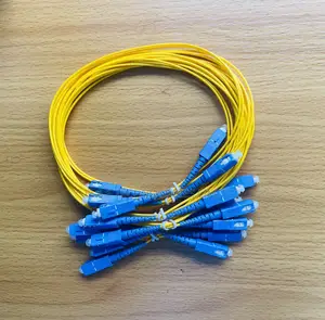 Fiber Optic Patch Cable Sc-Sc 1m Single Mode I