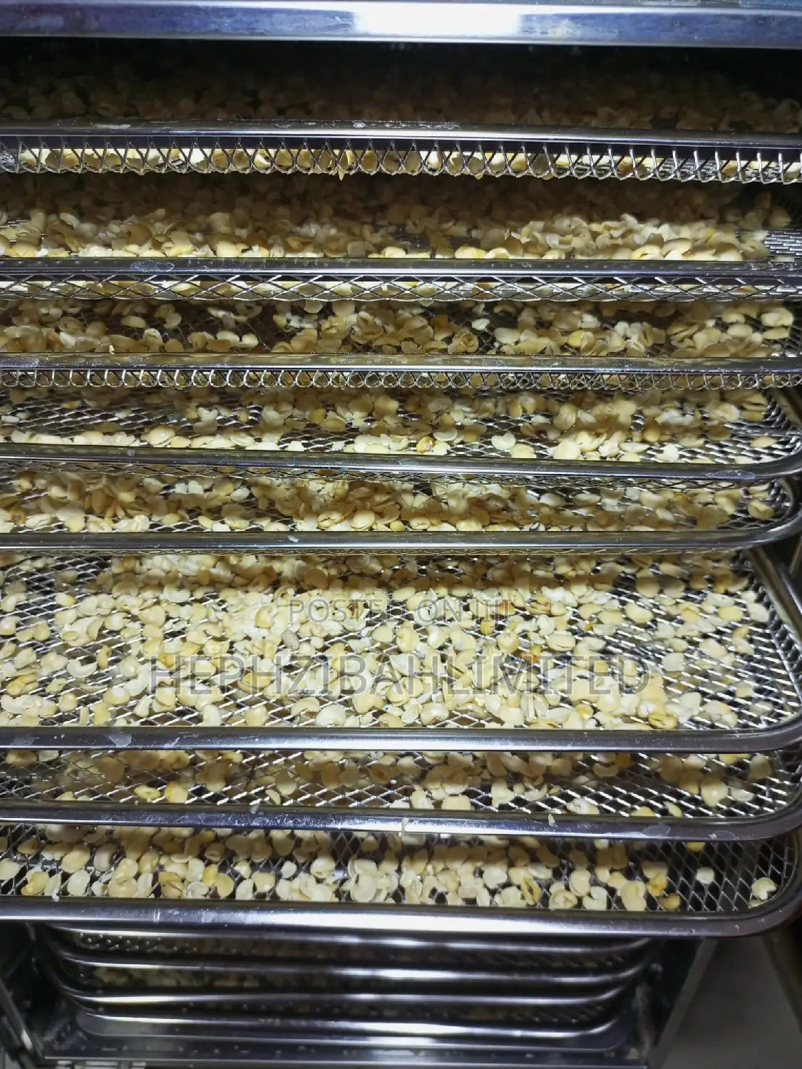 Multipurpose Beans Flour