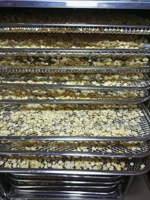 Multipurpose Beans Flour