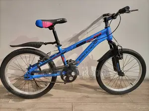 Bicycle for Teenager