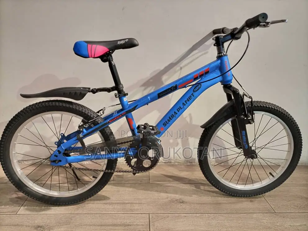 Bicycle for Teenager
