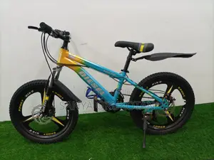 Bicycle for Teenager