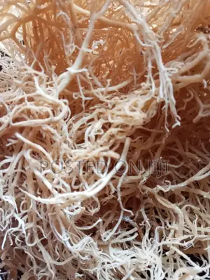 Sea Moss 100g