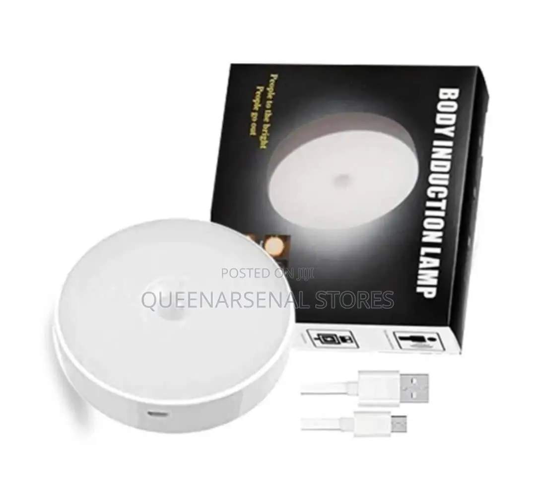 Motion Sensor Induction Light
