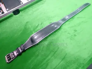 New Weight Lifting Belt