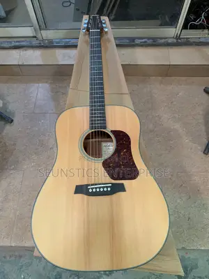 Quality Walden Pure Acoustic Guitar