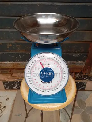 20kg Camry Scale