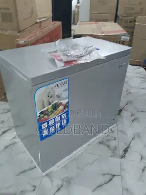 Nexus 200 Liters Chest Freezer- Lock Key