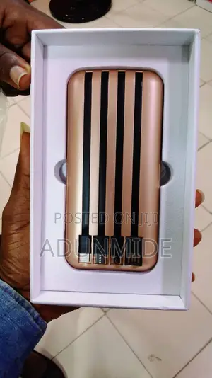 Multi Charger Power Bank