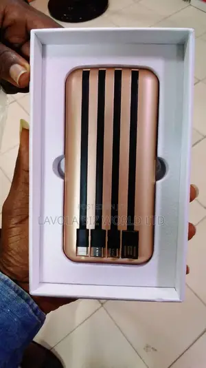 Multi Charger Power Bank