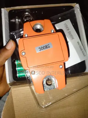 300kg Mini Crane Scale