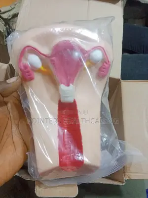 IUD Model Insertion and Remover