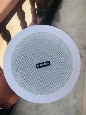 Original Surpass Ceiling/Pop Speakers