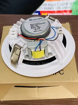 Luck Tone Ceiling Speakers