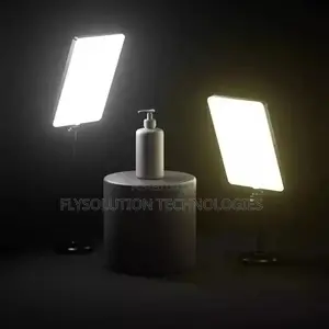 Rl-24 Scene Display Light