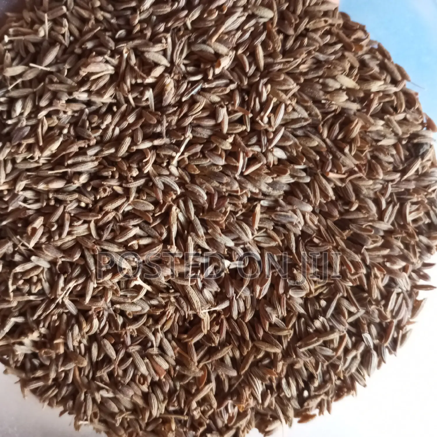 Cumin Seeds 100g