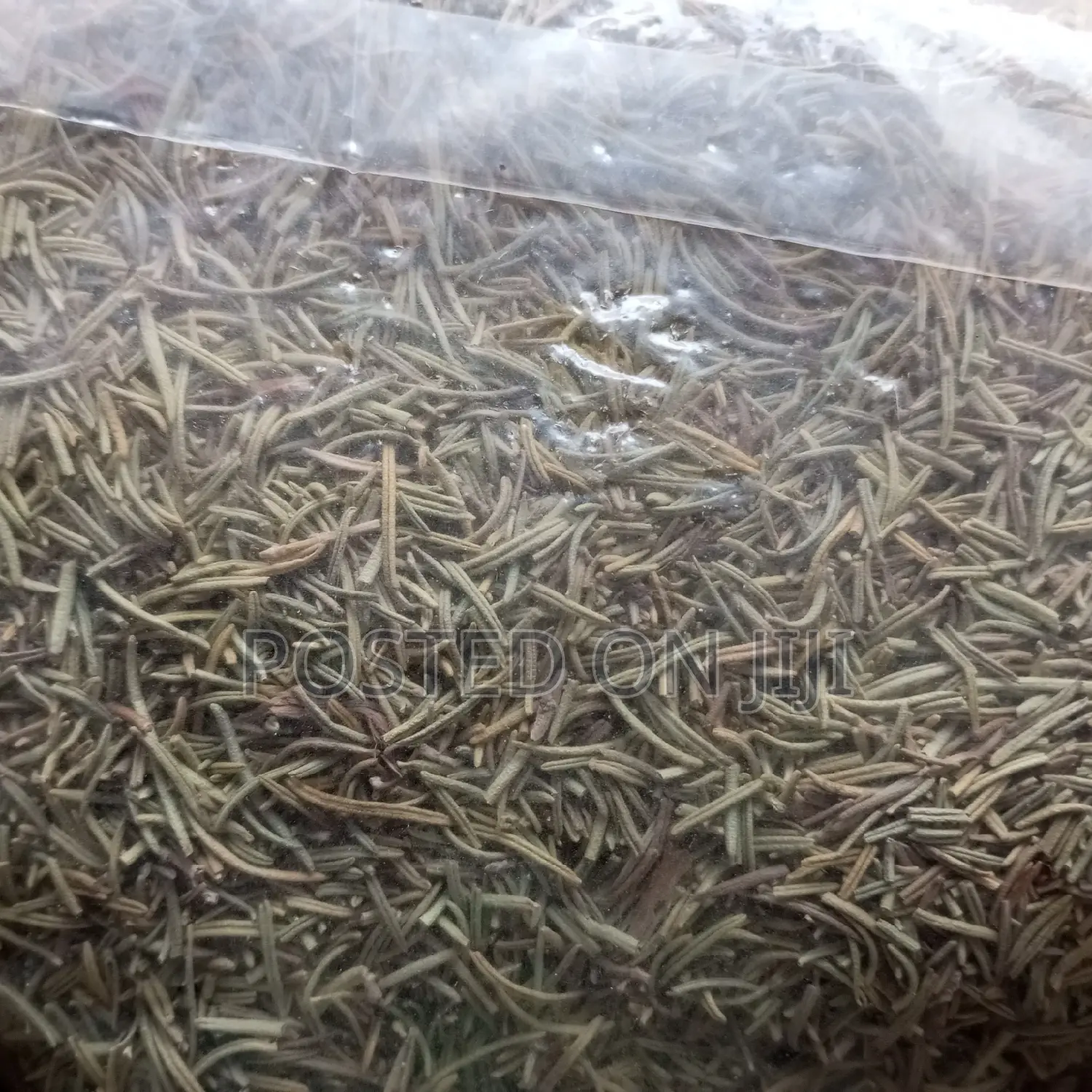 Rosemary 100g