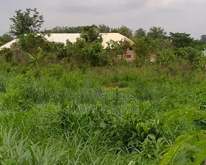 Plot of Land Available for Sales at Olomo Oloro Jagun