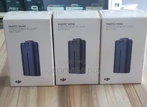 Dji Mini Battery