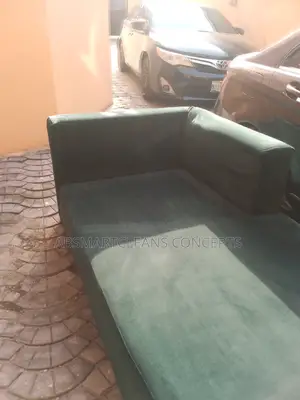 Rug and Couch Cleaning