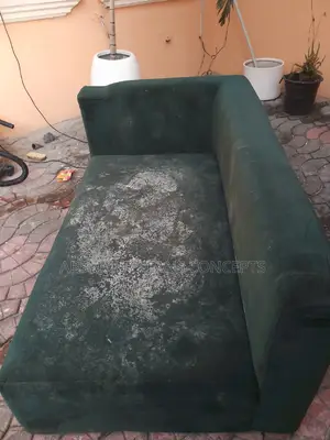 Rug and Couch Cleaning