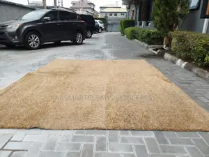 Rug and Couch Cleaning