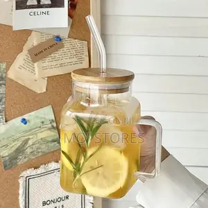 Borosilicate Glass Cup With Straw