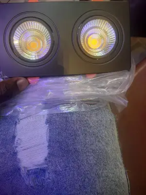 Double Recess Cob Down Light