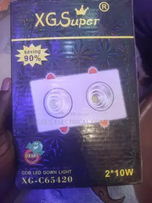 Double Recess Cob Down Light