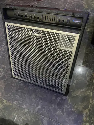 3600 Bass Combo Speaker