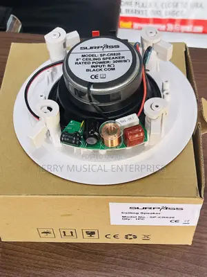 High Performance Surpass Ceiling/Pop Speakers