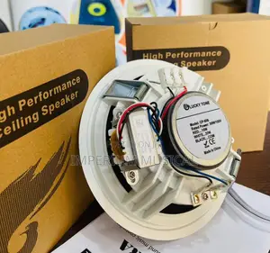 Lucky Tone High Performance Ceiling Speakers