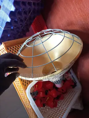 Electric Brooder