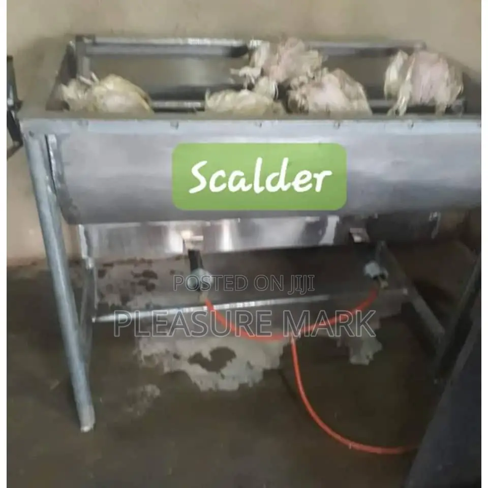 Bird Scalder