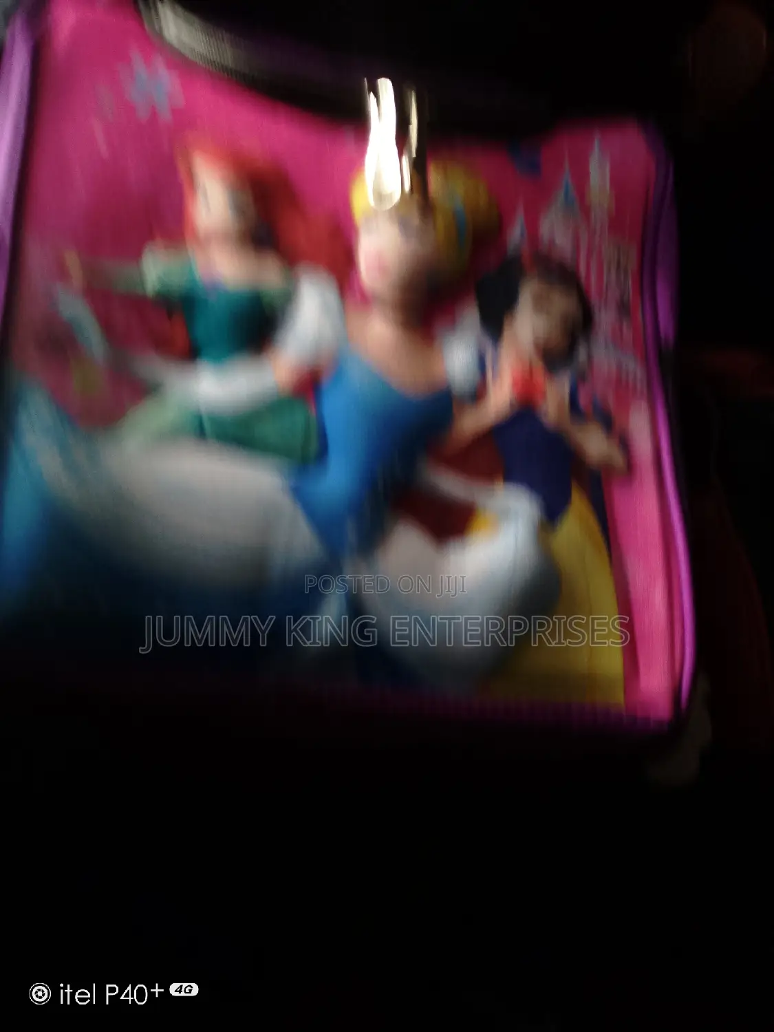 Insulated Lunch Bag