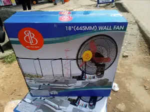 Best Buy Wall Fan (18 Inches)