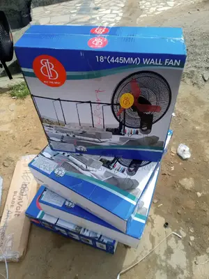 Best Buy Wall Fan (18 Inches)