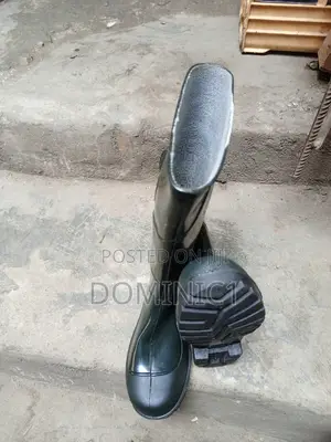 Green Rain Boot Ordinary