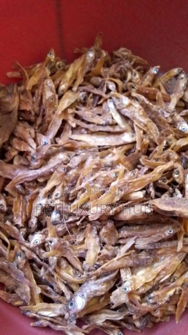 Dog Dry Fish
